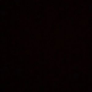 Meet your Posher, Riley